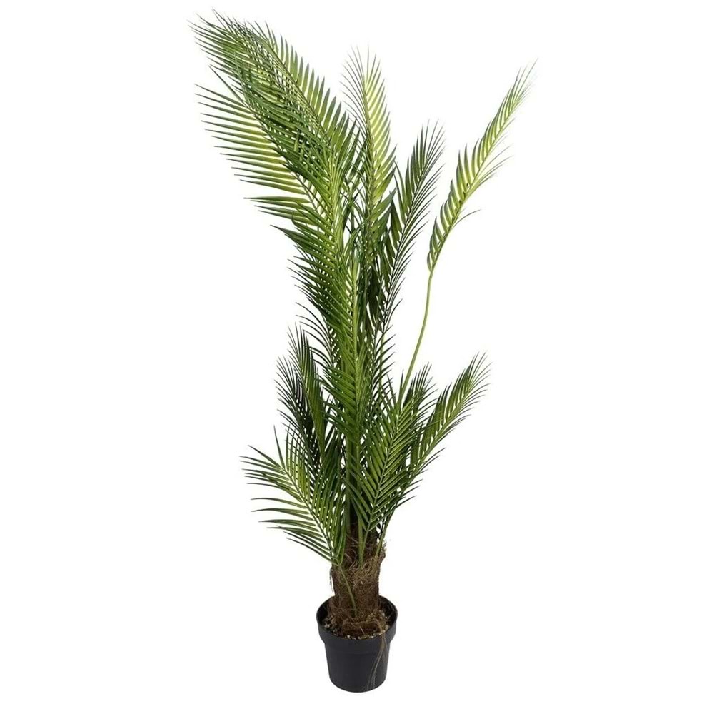PALMİYE YAPAY AĞAÇ 160 CM