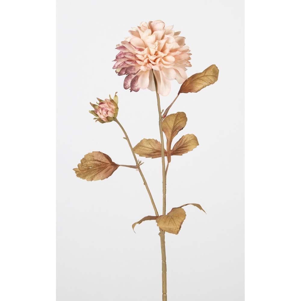 KASIMPATI 72 CM PEMBE