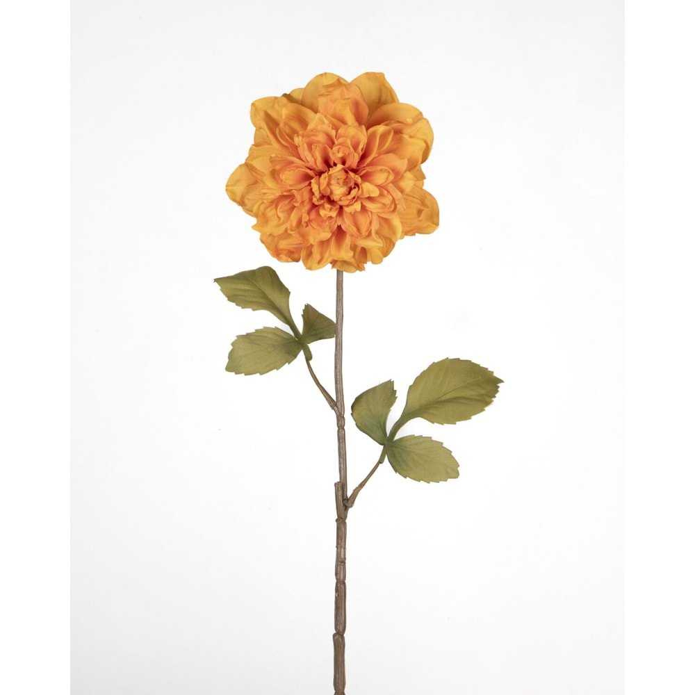 TUTUNCU DAL ÇİÇEK