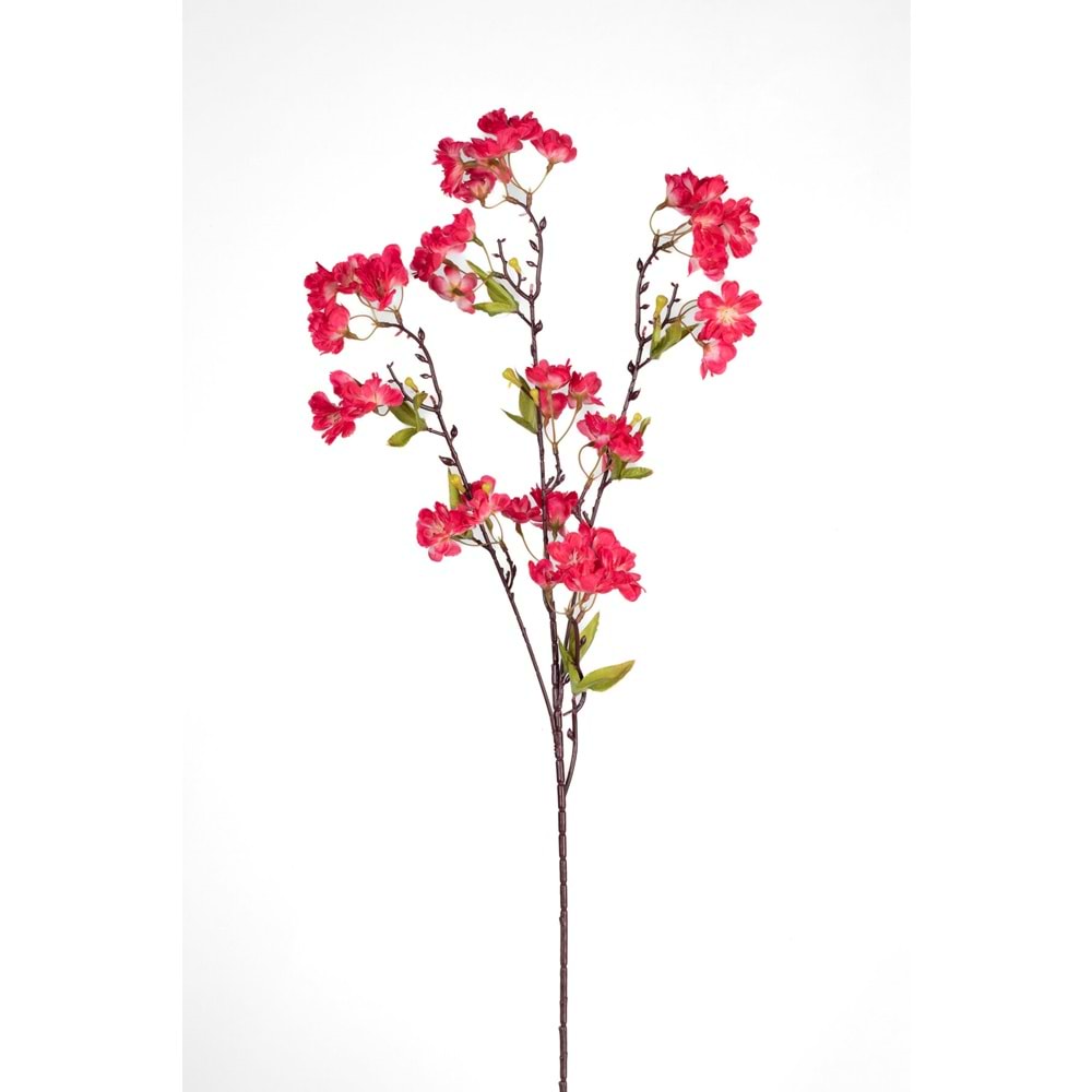 BAHAR DALI KOYU PEMBE