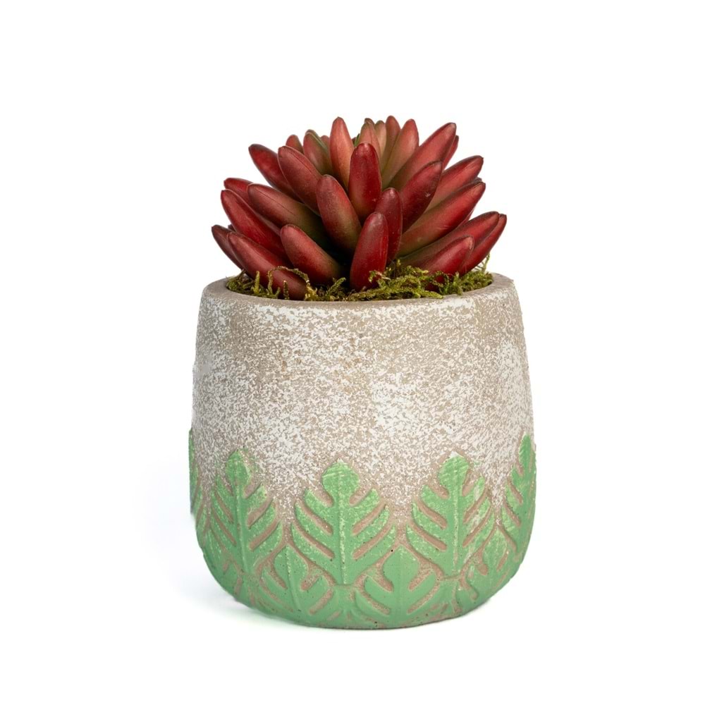 SUCCULENT MİNİ