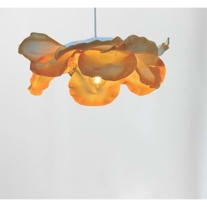 Rezza Tasarım Eva Modern Sarkıt Avize