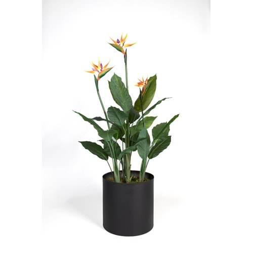 STARLİÇE ÇİÇEKLİ 140 CM