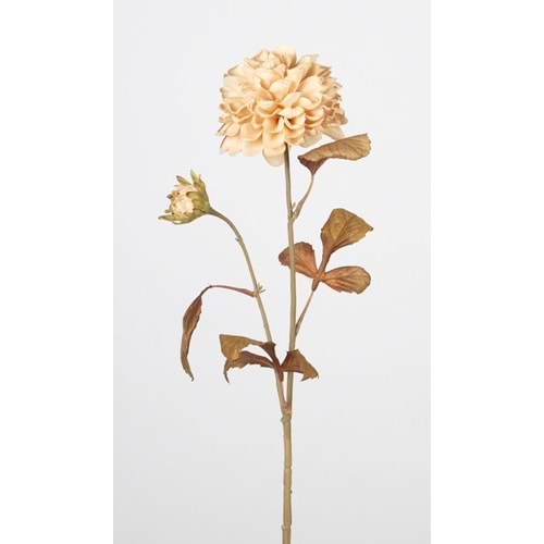 KASIMPATI 72 CM KREM