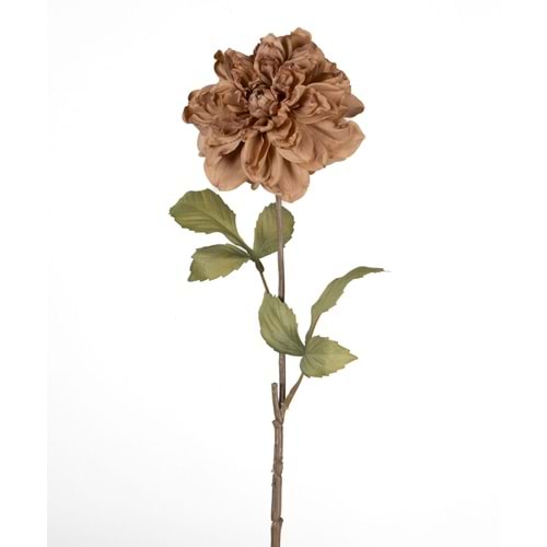 DAL ÇİÇEK KAHVERENGİ