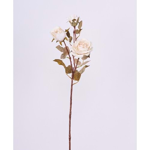 PASTEL KREM TEK DAL GÜL 3 KAFA