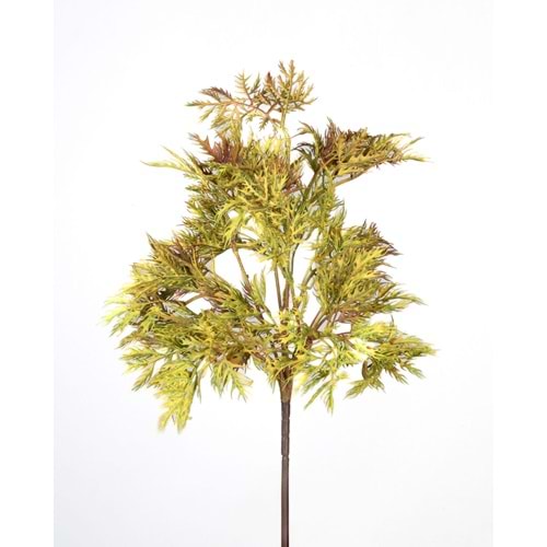 KAHVERENGİ DEMET YEŞİLLİK