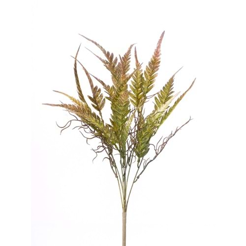 KAHVE YEŞİL DEMET YEŞİLLİK