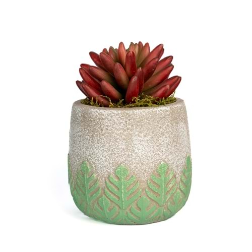 SUCCULENT MİNİ