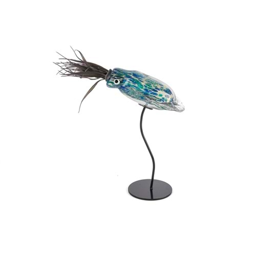 MAVİ CAM KALAMAR BALIĞI