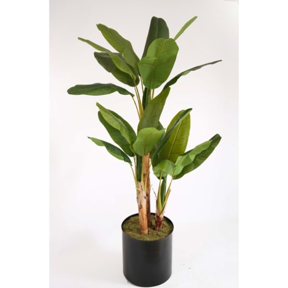 MUZ AĞACI 3 LÜ 190 CM