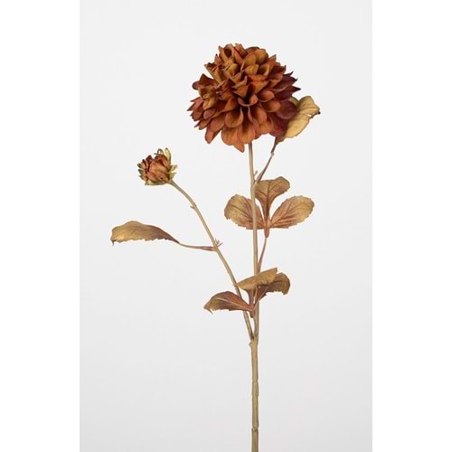 KASIMPATI 72 CM KOYU KAHVERENGİ