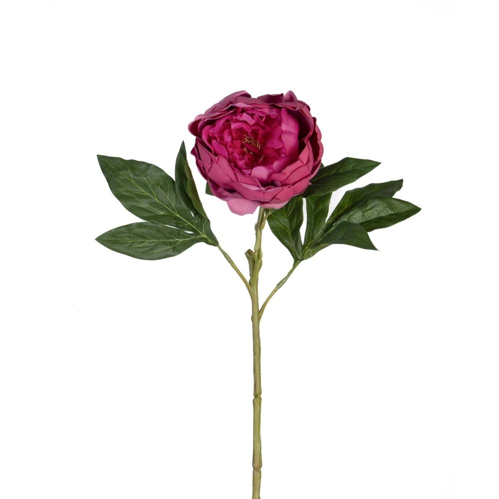 ŞAKAYIK 58 CM KIRMIZI