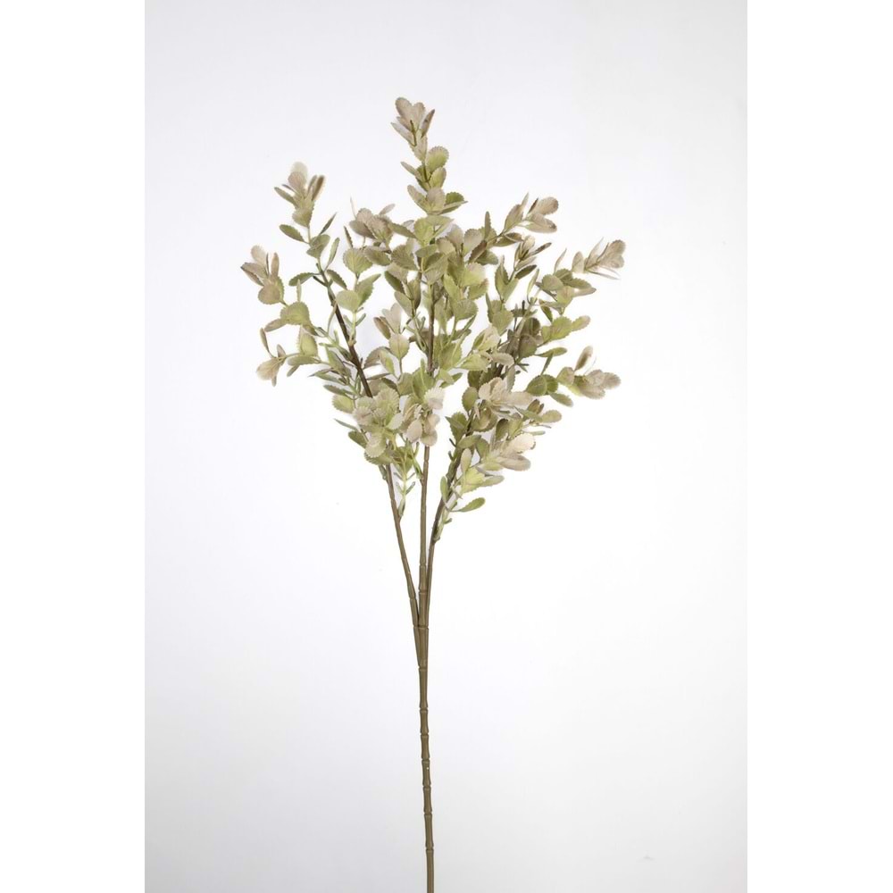 DAL ÇİÇEK YEŞİL