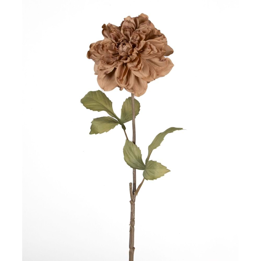 DAL ÇİÇEK KAHVERENGİ