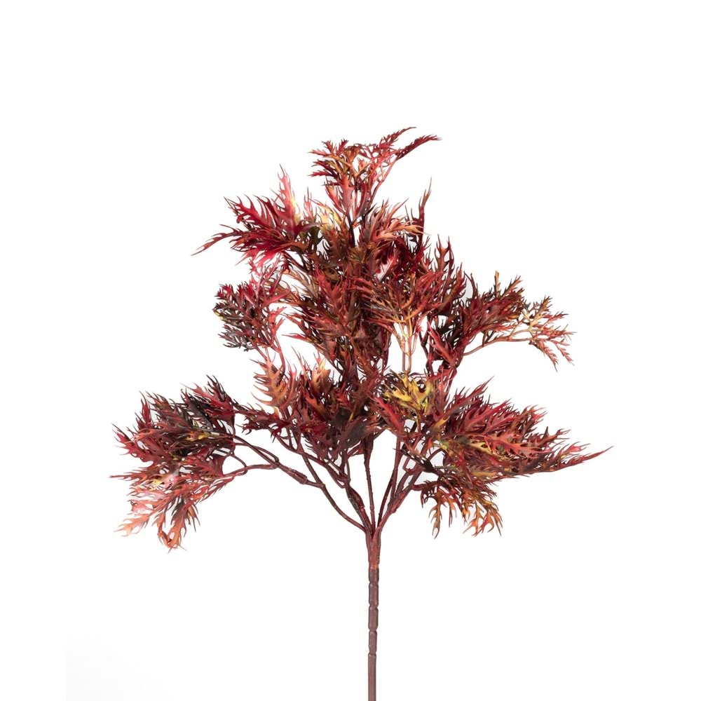 KIRMIZI DEMET YEŞİLLİK