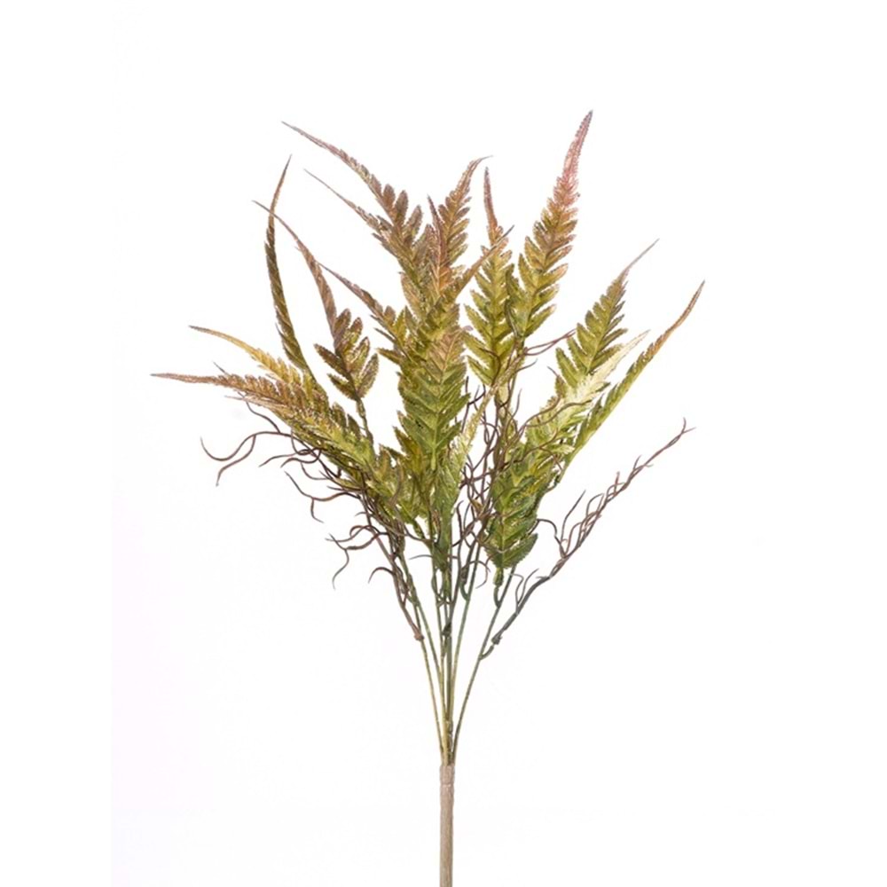 KAHVE YEŞİL DEMET YEŞİLLİK