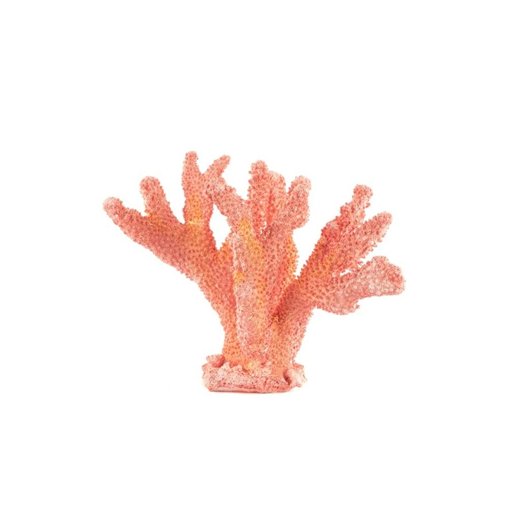 Pembe Mercan